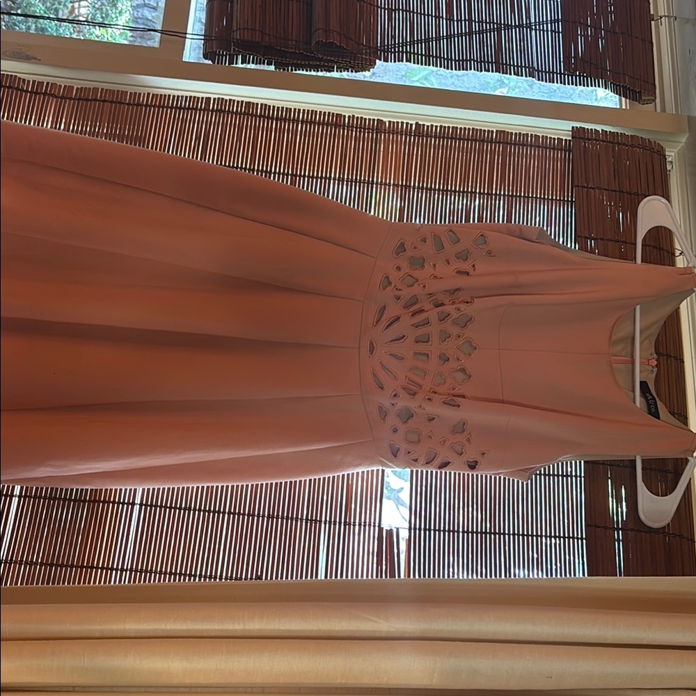 Elegant Pink Sleeveless Dress with Embellishments